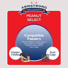 Load image into Gallery viewer, Armstrong Peanut Select Suet 320g