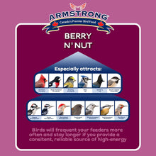 Load image into Gallery viewer, Armstrong Berry N’ Nut Suet 320g