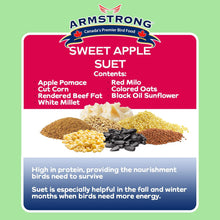 Load image into Gallery viewer, Armstrong Sweet Apple Suet 320g (301-220)