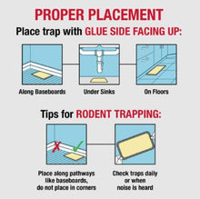 Load image into Gallery viewer, CatchMaster Rat, Mouse & Snake Glue Boards 2/pk