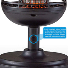 Load image into Gallery viewer, PIC Solar Insect Killer Torch # DFST