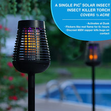 Load image into Gallery viewer, PIC Solar Insect Killer Torch # DFST