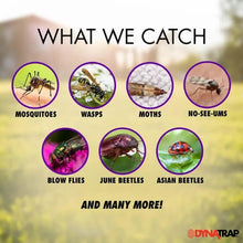 Load image into Gallery viewer, DynaTrap ¼ Acre Outdoor Mosquito Trap - Black #DT160-CA