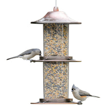 Load image into Gallery viewer, A 2-tier copper panorama bird feeder with black-oil sunflower seed, peanuts, and fruit blend in the upper tray and a pair of birds perched on the feeder, one eating seed from the lower tray.