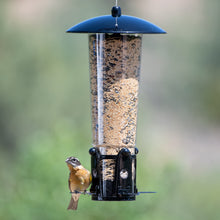 Load image into Gallery viewer, Perky-Pet Squirrel-Be-Gone Max Bird Feeder with Flexports – 3 Lb #333