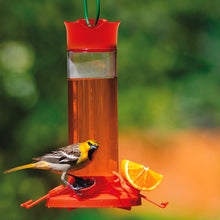 Load image into Gallery viewer, A red and clear Perky-Pet fruit trio oriole nectar feeder with four feeding ports, perches, and a bird (yellow and black) feeding on it. An orange slice and a jelly cup are also visible in the image.