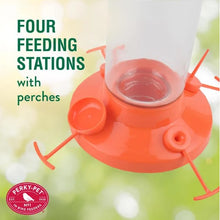Load image into Gallery viewer, Perky-Pet Fruit Trio Oriole Nectar Feeder #209BO-4