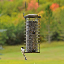Load image into Gallery viewer, Perky-Pet Squirrel Stumper Bird Feeder – 3 lb Capacity #114