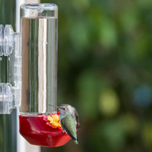 Load image into Gallery viewer, A window-mounted glass hummingbird feeder with a red base and two flower-shaped feeding ports, with a hummingbird drinking nectar from it.
