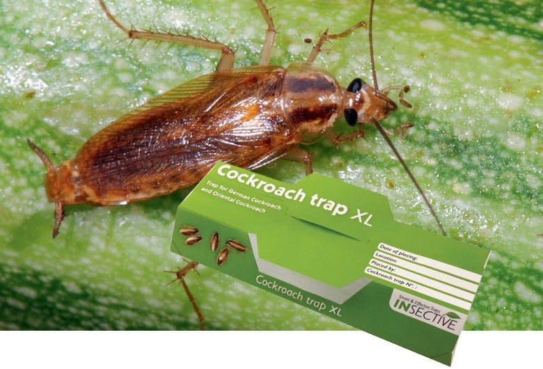 INSECTIVE COCKROACH TRAP XL-TABLET 4PK