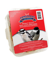 Load image into Gallery viewer, Armstrong Peanut Select Suet 320g

