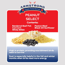Load image into Gallery viewer, Armstrong Peanut Select Suet 320g
