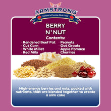 Load image into Gallery viewer, Armstrong Berry N’ Nut Suet 320g

