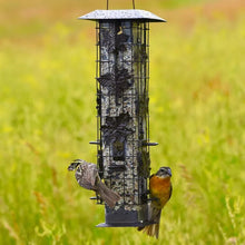 Load image into Gallery viewer, Squirrel-Be-Gone® Wild Bird Feeder (700-336)
