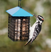 Load image into Gallery viewer, More Birds Double Suet Feeder With Weather Guard (738-250)
