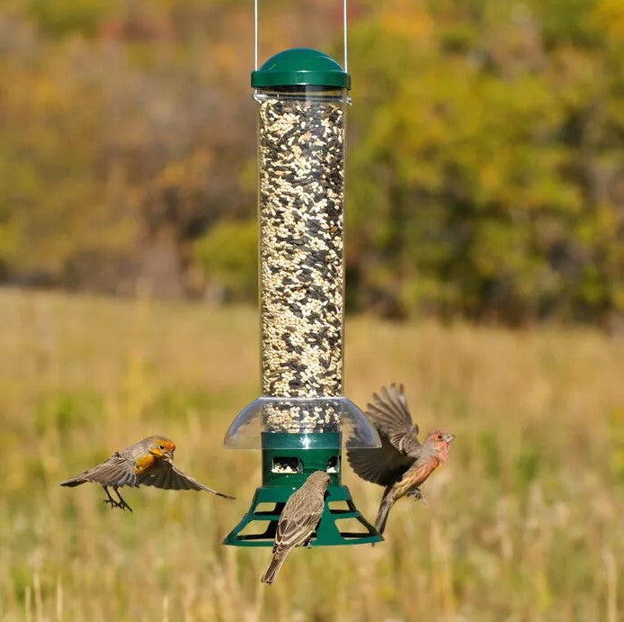 Perky-Pet Squirrel Slammer Seed Feeder # 5141-2