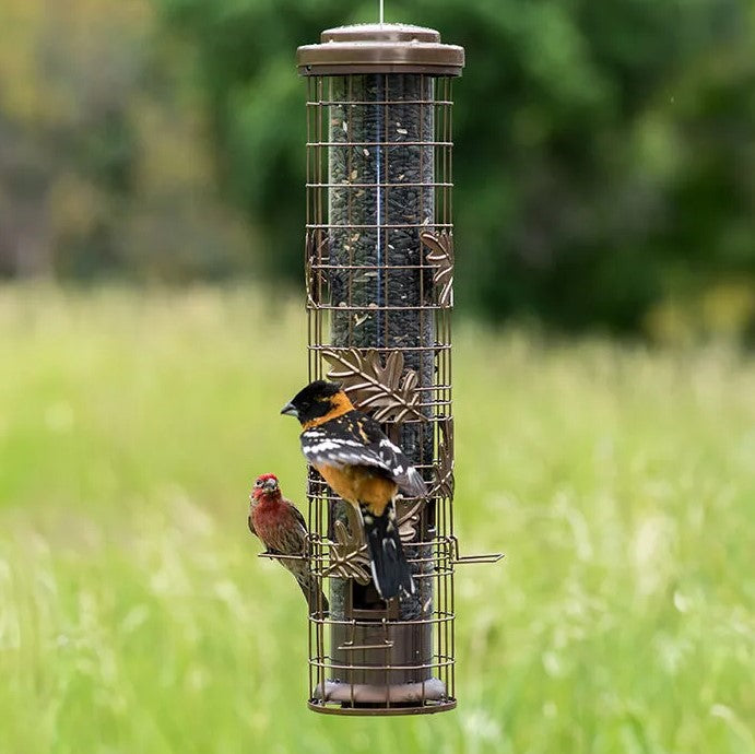 Squirrel-Be-Gone™ Cylinder Feeder 1.75LB #SBG100BF