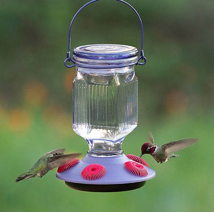 Perky-Pet Lavender Field Top-Fill Glass Hummingbird Feeder # 9101-2