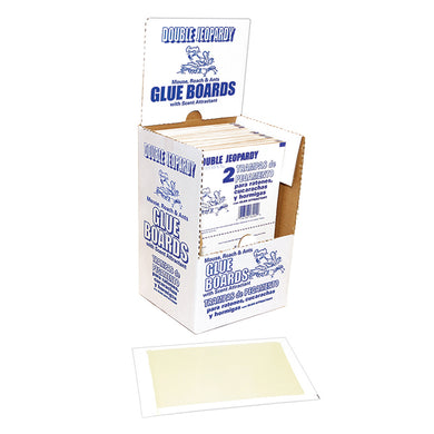 CHS J.T EATON Double Jeopardy™ Flat Glue Board 72/Box flat non-folding glueboards