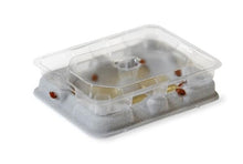 Load image into Gallery viewer, Catchmaster Bed Bug Monitor 4pk - 504
