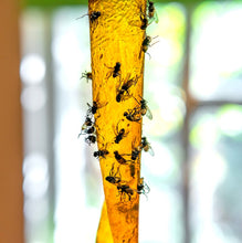 Load image into Gallery viewer, PIC Fly Ribbon 4/pk # FR4B
