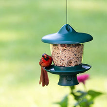 Load image into Gallery viewer, Perky-Pet Garden Song 105-3 Adjustable-Height Bird Feeder
