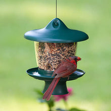 Load image into Gallery viewer, Perky-Pet Garden Song 105-3 Adjustable-Height Bird Feeder
