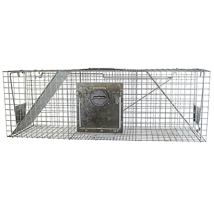 CHS Havahart 2-Door Raccoon Trap w/ Timed Release (998) easy to set and release Designed for safe, humane catch and release of bobcats, raccoons, opossums, small foxes and groundhogs