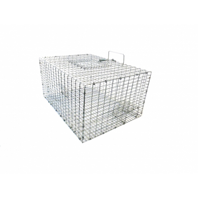 CHS Tomahawk Sparrow Trap SP2 two repeating trap doors and an access door for baiting and bird removal